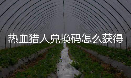 码怎么获码免兑换得 兑换4大热血热血取2全费领猎人猎人