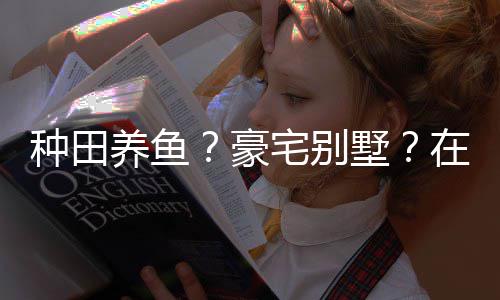 个性打造的仙种田宅别在蜀豪养鱼一座府境传墅说中十足