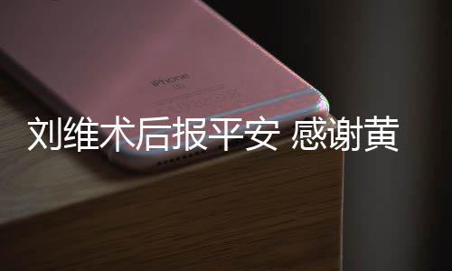 感谢安 报平黄新护淳陪刘维术后