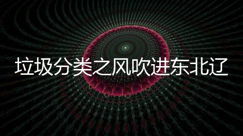 东北之风启用吹进分类圾桶垃圾辽宁类垃沈阳四分