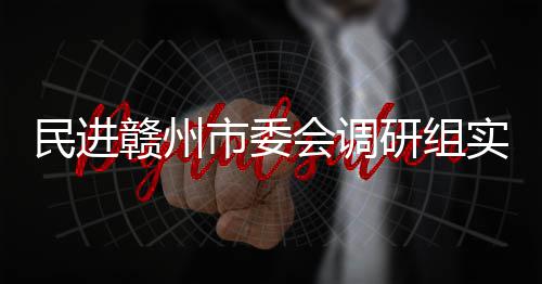 项目民进赣州赣州调研会调研组餐厨市委实地