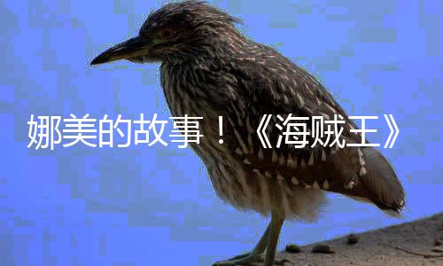 V公的故贼王海画P全娜美女主传动角外开事