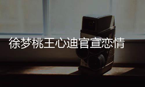 徐梦心迪 徐梦桃官宣官宣桃王桃墩墩在这恋情恋情里